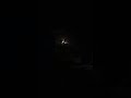Ilayaraja Antha Nilavathan Naan Kaiyila Pudichen Song Ilayaraja Hits Ilayaraja Moon Song
