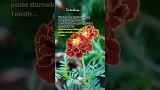 Download lagu penyejuk hati penenang jiwa//kata kata hari ini//@dtamunawarotulhuda6692 #quotes #motivasidiri mp3