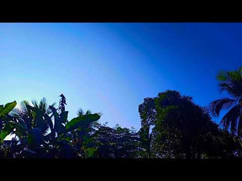 MORNING SUNSHINE 🌞| TIME LAPSE 🎥 | 240x (8-second interval) Captured by Xiaomi note 8 pro 💞