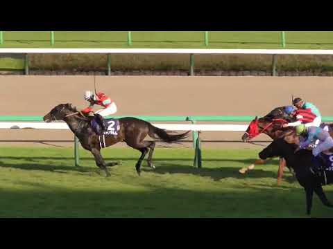 【2022年】 第56回スプリンターズステークス【現地映像】