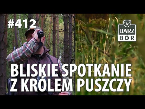 Darz Bór odc.412 Bliskie spotkanie z Królem Puszczy