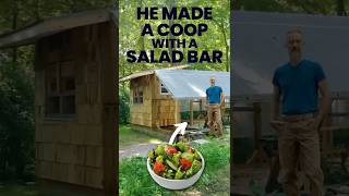 5 Months, One Guy Built a Coop w/ SALAD BAR! ￼