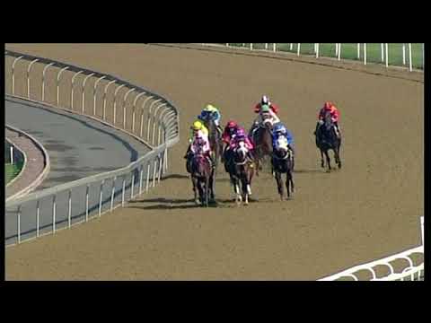 20190717 Greyville Express clip Race 1 won by CAPTAIN DEMONAMI
