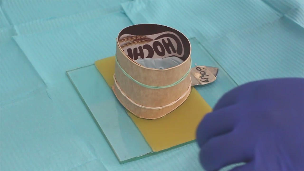 VACIADO DE MODELO MAXILAR