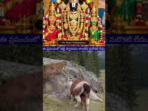 ఈ ప్రపంచంలో తల్లి హృదయం లాంటిది మరొకటి లేదు.@tirupatishreebalaji1781