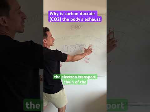 Why is carbon dioxide (CO2) the exhaust of the body? #carbondioxide #metabolism