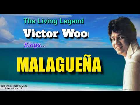 MALAGUEÑA - Victor Wood (with Lyrics)