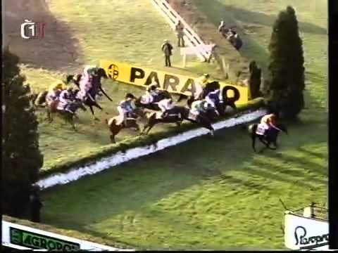 104. Velká pardubická steeplechase - 1994