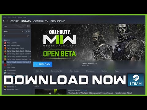 Video preview
