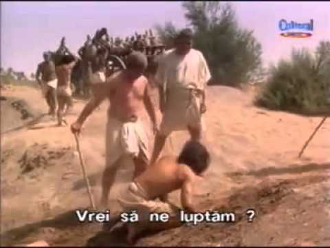 Iosif si fratii sai 1