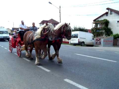 După nuntă (Bistriţa, judeţ Bistriţa Năsăud)