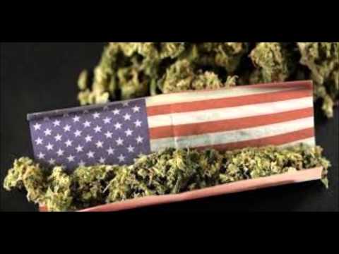 T-NORD CARDENAL - DREAM - ( Audiofficiel )