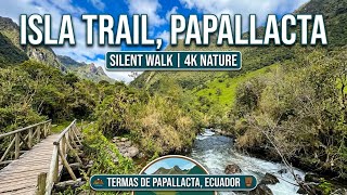 [ASMR] Pure Nature Sounds in Ecuador's Cloud Forest | Termas de Papallacta Isla Trail