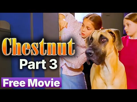 Chestnut: Hero of The Central Park - Chapter 03 "Chestnut is growing too fast" | Official Movie