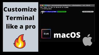 Customize your terminal on MacOS like a pro 🔥 | oh-my-zsh | powerlevel10k | iTerm2