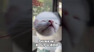 Download lagu BIGO LIVE - Tag someone you miss!! #BIGOfam mp3