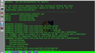 SVN Command Line Tutorial 2