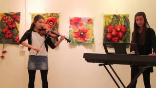 Suzi and Vivi- Crystallize (Lindsey Stirling)