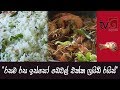 fried-rice-10-10-2019