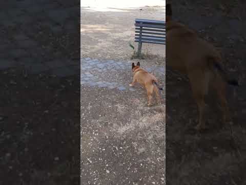 080424 #goodmorning #TSfamily