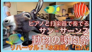Download lagu ピアノと打楽器で奏でるサン=サーンス:動物の謝肉祭「水族館」「ロバ」のリハーサル mp3 Download lagu ピアノと打楽器で奏でるサン=サーンス:動物の謝肉祭「水族館」「ロバ」のリハーサル mp3