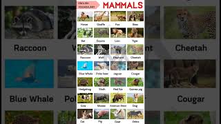 Download lagu Mammals Name #english #facts #ielts #mammalsaroundtheworld @learnwithmk5825 mp3