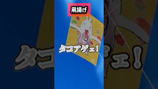 新年だしメスガキと凧揚げしてきた #VRChat #shorts #ゲーム実況