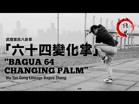 八卦64