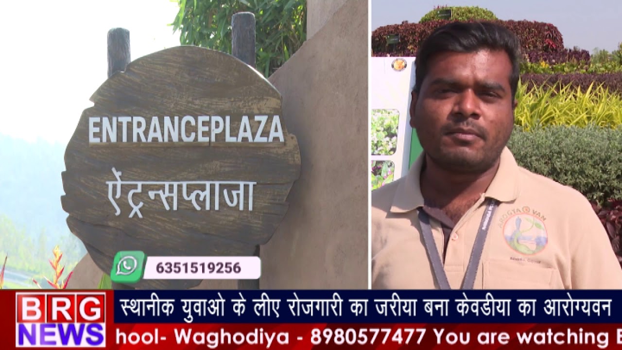 स्थानिक युवाओ के लिए रोजगारी का जरिया बना केवडिया का आरोग्यवन BRG NEWS