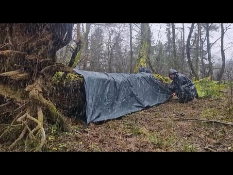 Extreme SOLO CAMPING in Heavy Rain ⛈️ | Bushcraft Survival | Thunderstorm ASMR