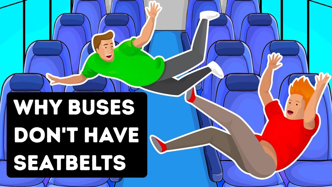 That's Why Buses Don't Have Seatbelts