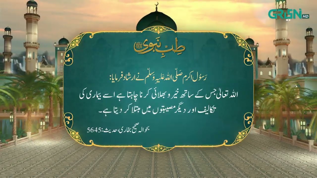 Tibb e Nabvi | Hazrat Muhammad (SAW) Ka Irshad | Ramzan Day 04 | Green TV