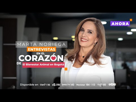 “Cerca del 67% de familias en Bogotá conviven con animales”: director del IDPYBA