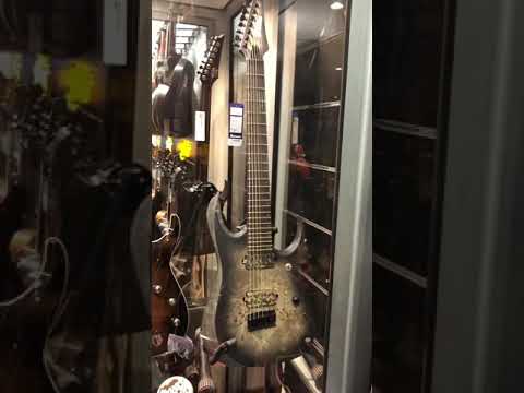 La Vitrine du Guitariste