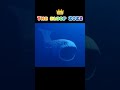Bloop Of Evolution Short Evolution