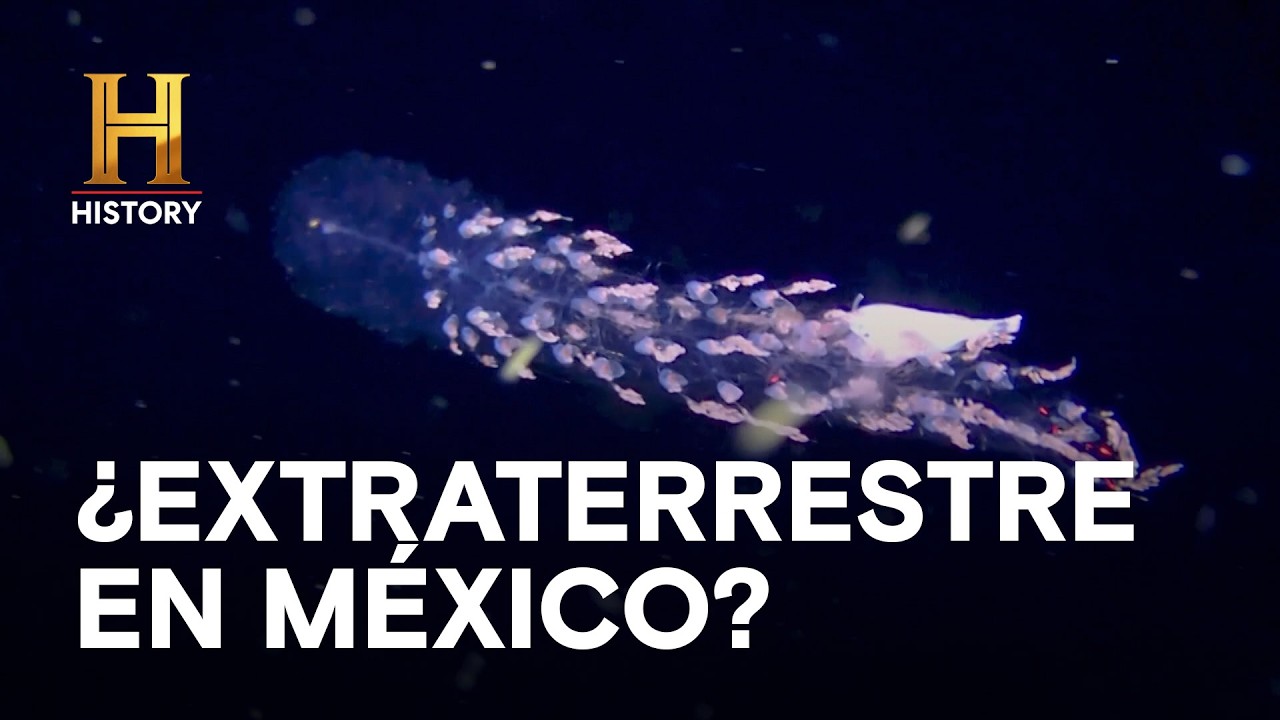 ¿EXTRATERRESTRE EN MÉXICO? - LA EVIDENCIA ESTÁ ENTRE NOSOTROS