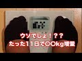 驚愕、大会後11日で〇〇kg体重が増えました!