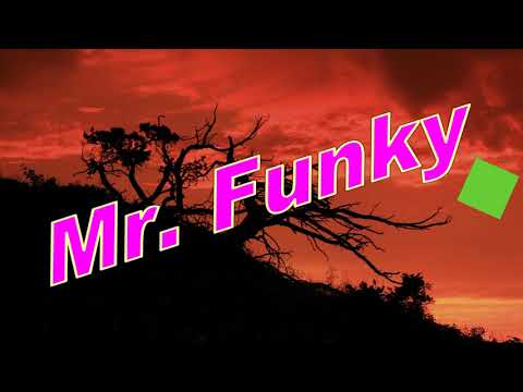 Mr. Funky Line Dance  Dance & Teach