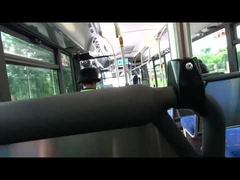 Bus Queensland Park Ridge Scania K320CB (087, ZF EcoLife): 543 west