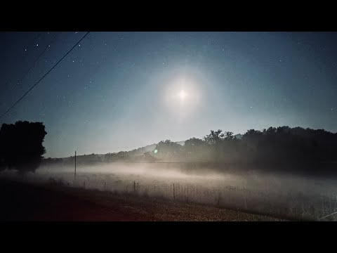 Squatchin’ Holler Chat