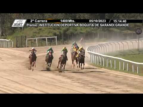 SINT FLORIDA 231005 c02 - 1° NOIR PINOT (BRZ)