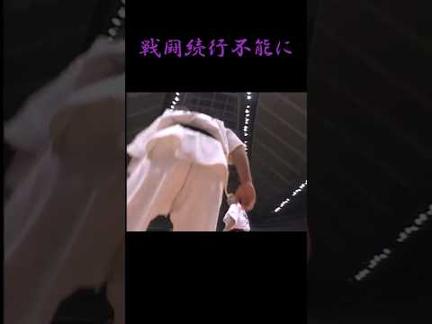 膝砕く下段蹴り!”現代の侍”数見肇驚愕カーフキックの衝撃!!! #shorts #fight #格闘技 #karate #kyokushin