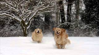 Moby - The Dogs (DjJM&#39;s Winter Mix)