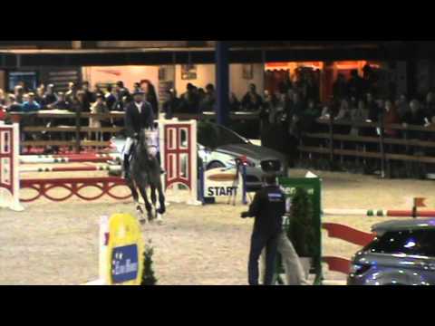 El Torreo de Muze 5yr Stallions WEN 2015