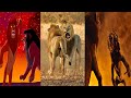 The Lion King 1994 2019 Simba Vs Scar Fight Scene Vs Real Wildlife