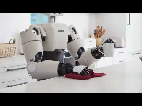 Eggie Review Video 1