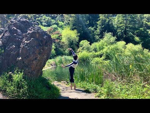 Roberto Vega - Swan Lake (Men on Pointe)