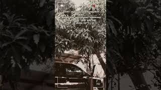 Download lagu Rindu yg paling berat adalah merindukan seseorang yang telah tiada ðŸ˜ðŸ˜ðŸ˜#sad #story mp3 Download lagu Rindu yg paling berat adalah merindukan seseorang yang telah tiada ðŸ˜ðŸ˜ðŸ˜#sad #story mp3