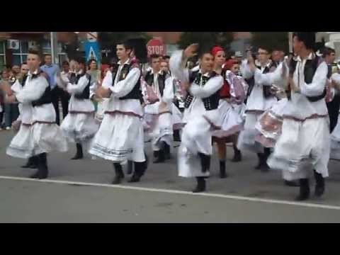 Doina Crisului din Ineu- Dans de pe Valea Crisului (Hora 2013)