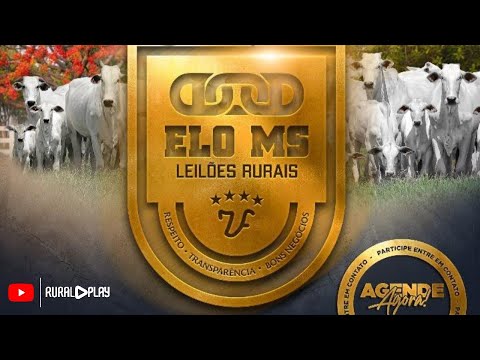 120º LEILÃO VIRTUAL ELO MS - CAMAPUÃ/MS - RURAL PLAY